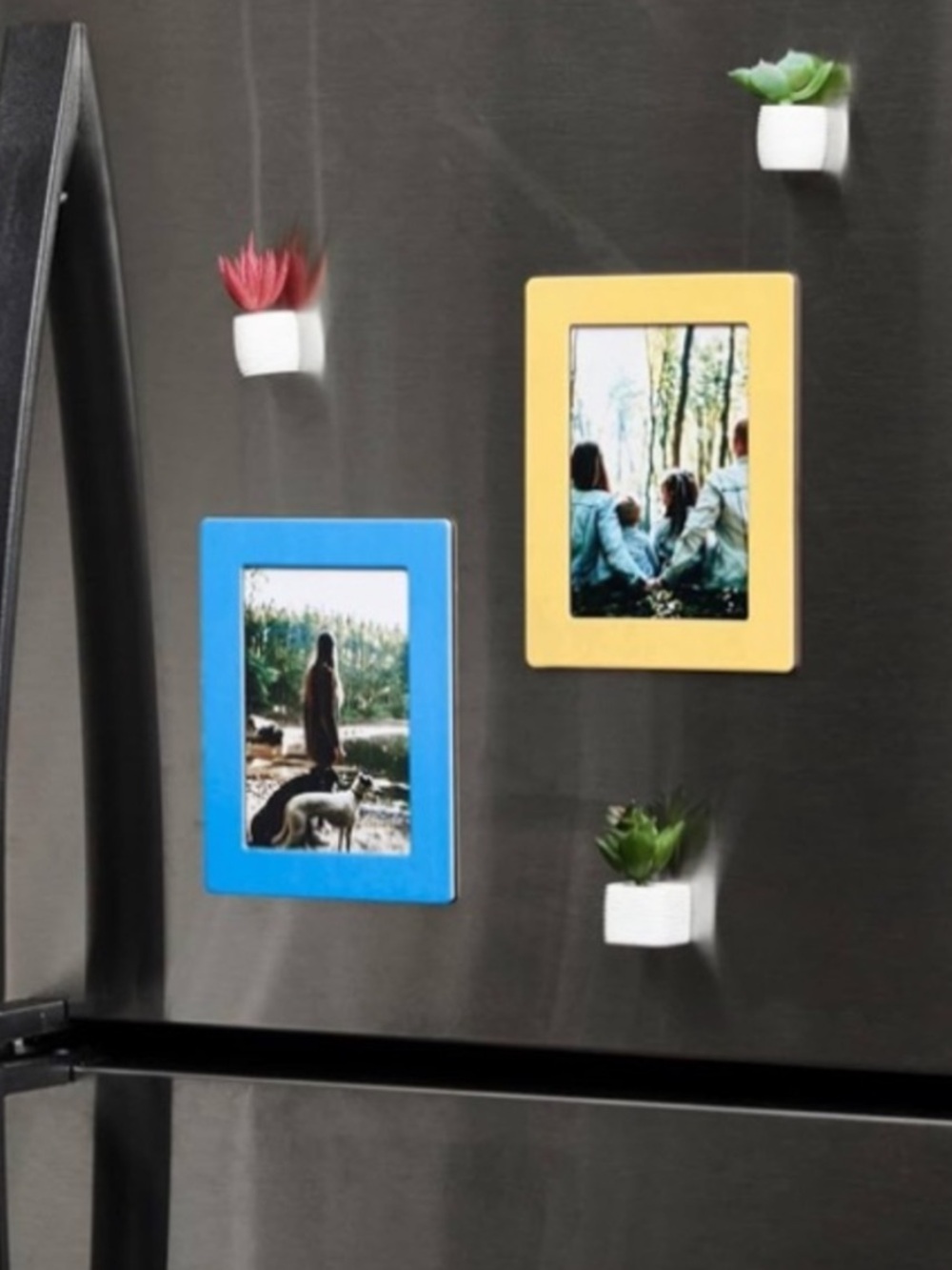 Dudley Magnetic Organizer Set Photo Frame Magnet Shapes 7 Pc